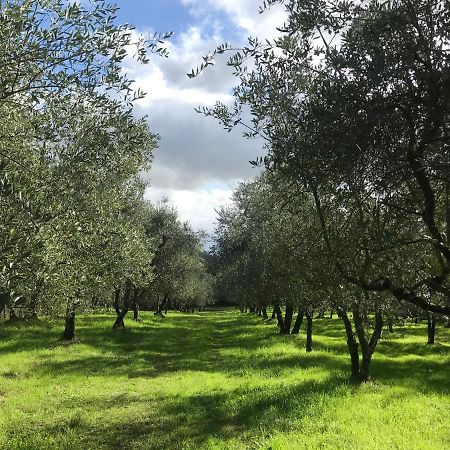 Agriturismo Podere I' Caldino Troghi Екстериор снимка