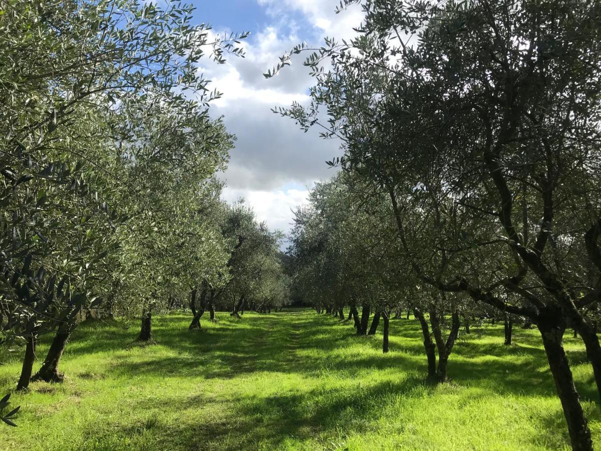 Agriturismo Podere I' Caldino Troghi Екстериор снимка
