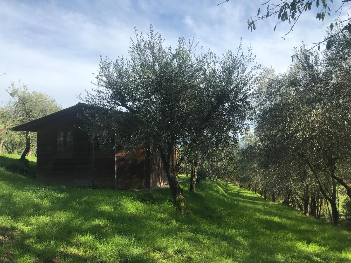 Agriturismo Podere I' Caldino Troghi Екстериор снимка